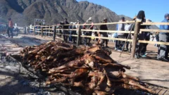 En fotos: Así se vivió la Fiesta Provincial del Chivo en La Majadita