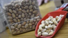 Pistacho: el fruto seco premium que se vende a más de $5.000 los 100 gramos en San Juan
