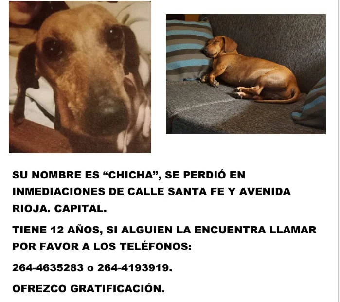 Imagen-de-WhatsApp-2025-07-03-a-las-18.07.47_edc607f7