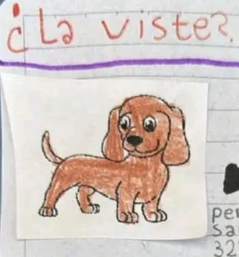 Una nena sanjuanina busca a su perrita perdida Chicha con un dibujo