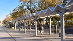 La Terminal de Ómnibus se transformará: adiós al histórico techo de las paradas de colectivos