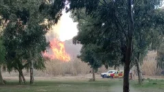 Ardieron cañaverales frente al Jardín de los Poetas
