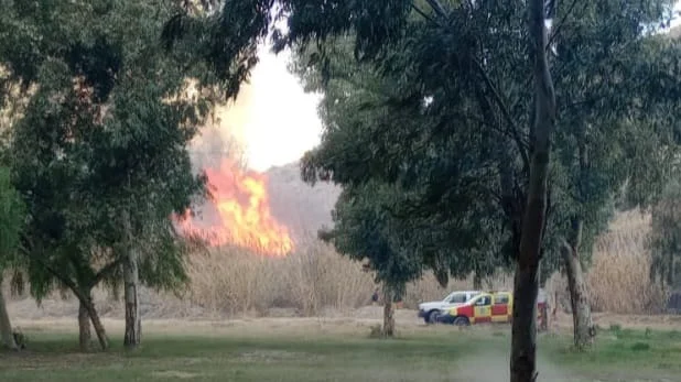 Ardieron cañaverales frente al Jardín de los Poetas