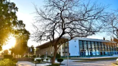 Secretos e historia: los “tesoros verdes” escondidos en los jardines del Auditorio Juan Victoria
