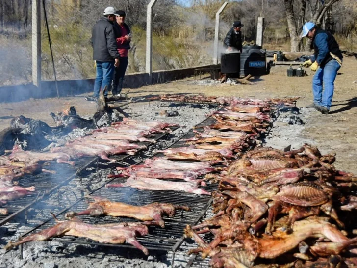 chivo2-728x546