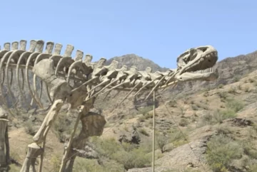 El dinosaurio gigante que sorprende en la Ruta 150: un imán turístico rumbo a Ischigualasto