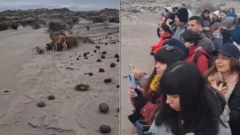 Sorpresa por lo que apareció en la Cancha de Bochas de Ischigualasto: el video se volvió viral