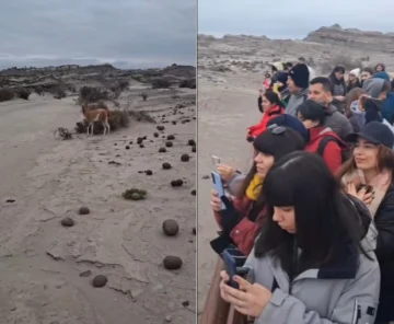 Sorpresa por lo que apareció en la Cancha de Bochas de Ischigualasto: el video se volvió viral