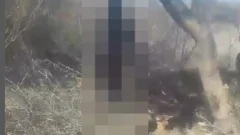 Violencia extrema: ahorcaron a un perro en Angaco y buscan al asesino