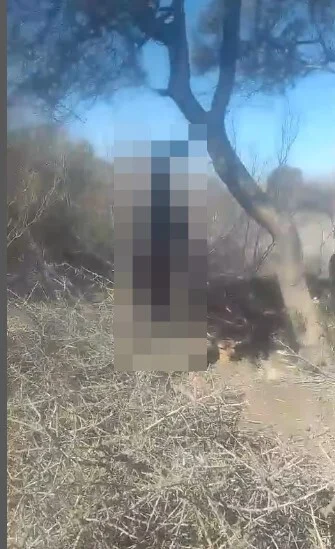 Violencia extrema: ahorcaron a un perro en Angaco y buscan al asesino