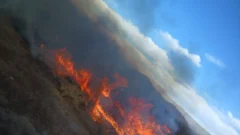 Fuerte viento Zonda: incendios y árboles caídos en Jáchal