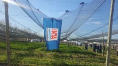 INTA, sin autarquía: en San Juan temen por los puestos de trabajo