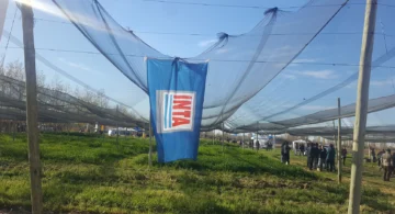 INTA, sin autarquía: en San Juan temen por los puestos de trabajo