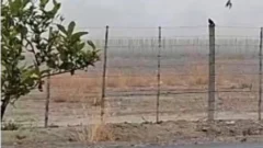 ¿Cambió el pronóstico?: la niebla y la garúa marcan el domingo