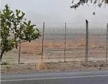 ¿Cambió el pronóstico?: la niebla y la garúa marcan el domingo
