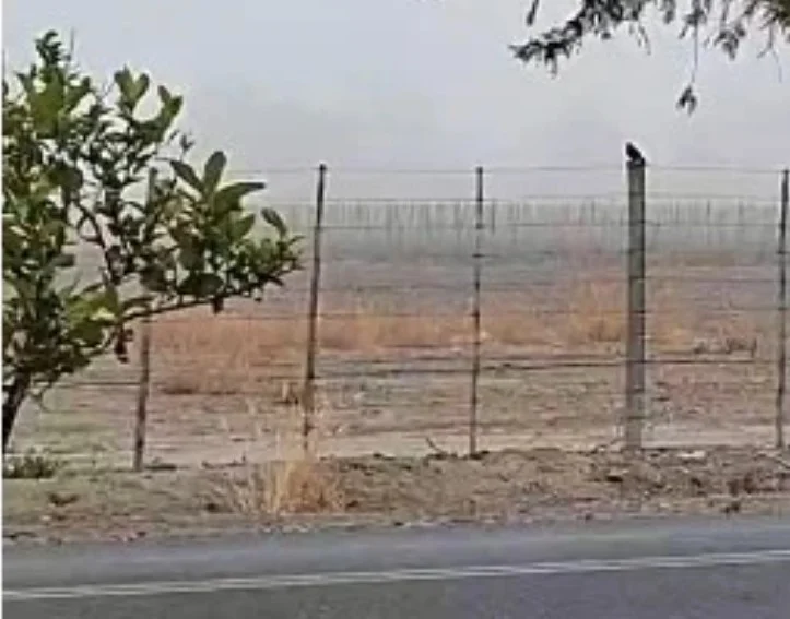 ¿Cambió el pronóstico?: la niebla y la garúa marcan el domingo