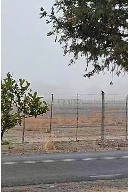 niebla-sj4