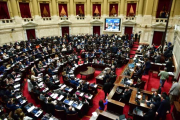 La oposición unida impulsa una ley para limitar los DNU de Milei