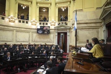 El Senado convirtió en ley el financiamiento universitario