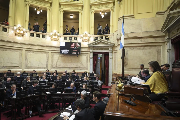 El Senado convirtió en ley el financiamiento universitario
