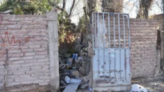 Hombre comido por perros en Pocito: el celular y una autopsia psicológica, claves para el caso