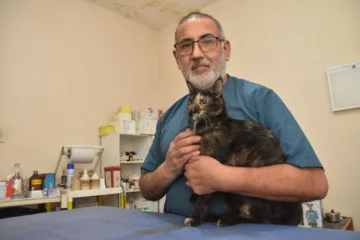 Daniel, el veterinario sanjuanino que se convirtió en héroe silencioso de miles de mascotas