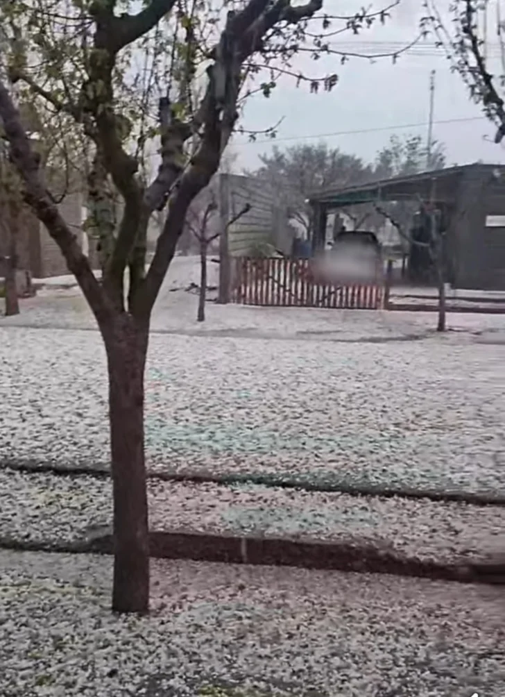 Granizo-en-La-Chimbera-728x1004