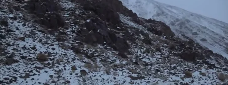 Guardia-vieja-nevadas-728x271
