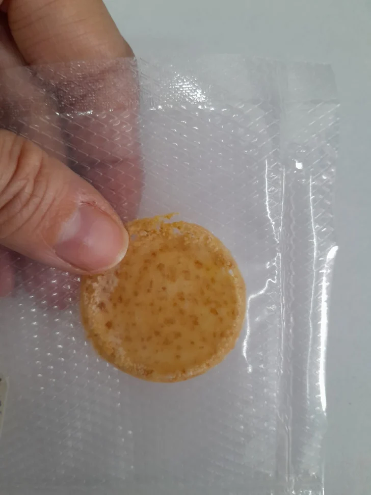 Un repelente biotecnológico sanjuanino apunta a prevenir el Chagas con plantas nativas