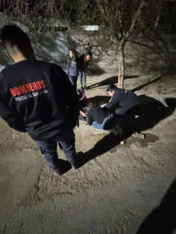 Rescataron a un gatito en grave estado tras una semana atrapado en Rawson