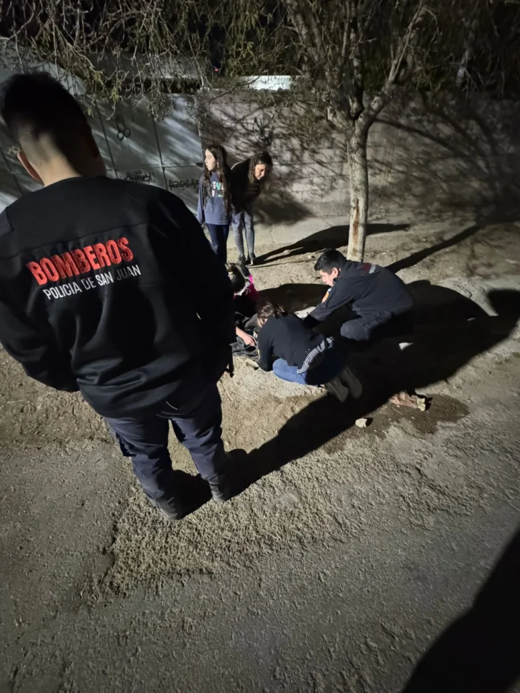 Rescataron a un gatito en grave estado tras una semana atrapado en Rawson