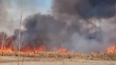 Un nuevo incendio generó preocupación a los vecinos de Calle La Laja