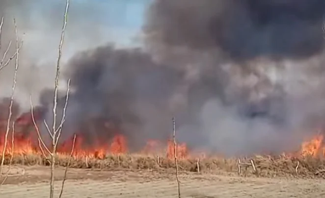 Un nuevo incendio generó preocupación a los vecinos de Calle La Laja