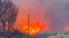Impactante incendio afectó la estancia de Buena Esperanza en Iglesia
