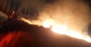 Un voraz incendio en Pocito puso en riesgo viviendas