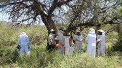 San Juan suma dos nuevas comunidades que producirán miel para proteger sus bosques nativos