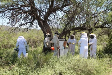 San Juan suma dos nuevas comunidades que producirán miel para proteger sus bosques nativos
