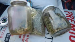 Arrestaron a dos ocupantes de una camioneta con marihuana en Rivadavia