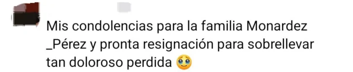 WhatsApp-Image-2025-08-10-at-16.19.441-728x150