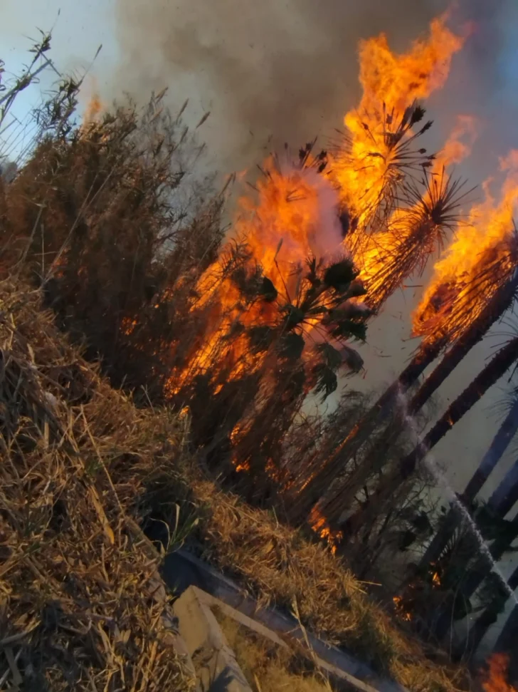 Se desató un incendio de gran magnitud en Pocito