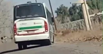Un colectivo de la Red Tulum perdió una rueda mientras circulaba