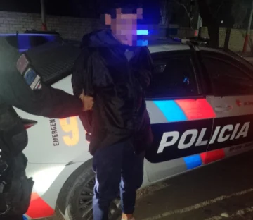 Cayó un joven tras robarle el bolso a una mujer que esperaba el colectivo