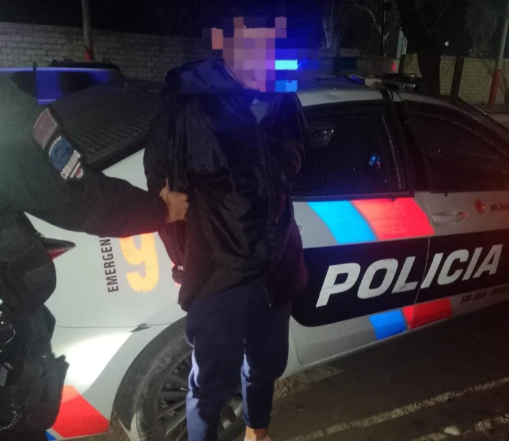 Cayó un joven tras robarle el bolso a una mujer que esperaba el colectivo