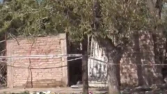 Horror en Pocito: perros habrían devorado a un hombre muerto