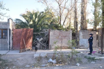 Horror en Pocito: trasladaron los perros y temen que haya una bacteria transmitida por aves muertas