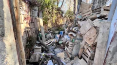 Hombre comido por los perros en Pocito: buscan todos los huesos y tratan de reconstruir qué pasó