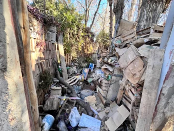 Hombre comido por los perros en Pocito: buscan todos los huesos y tratan de reconstruir qué pasó