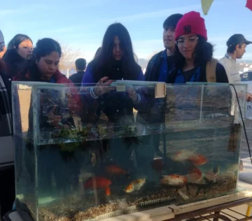 Alumnos de Médano de Oro generan fertilizantes ricos en nutrientes con heces de los peces