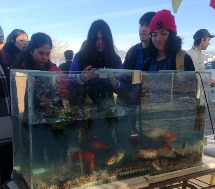 Alumnos de Médano de Oro generan fertilizantes ricos en nutrientes con heces de los peces