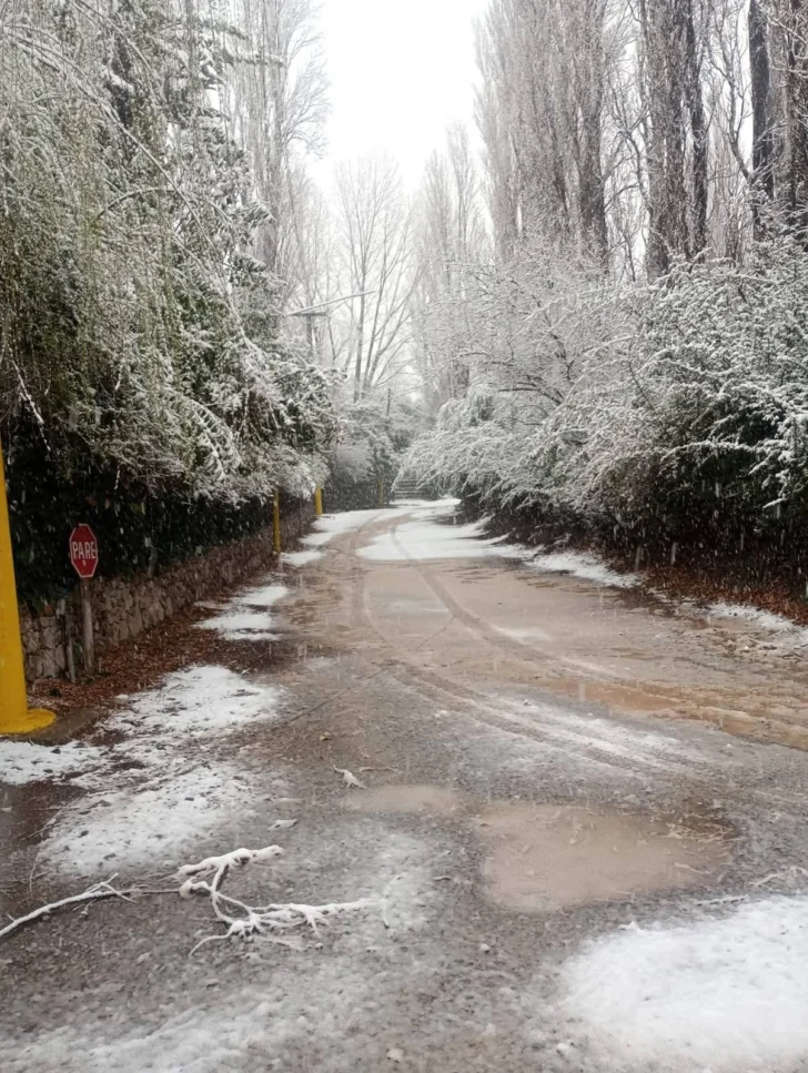nieve-berros3-728x967